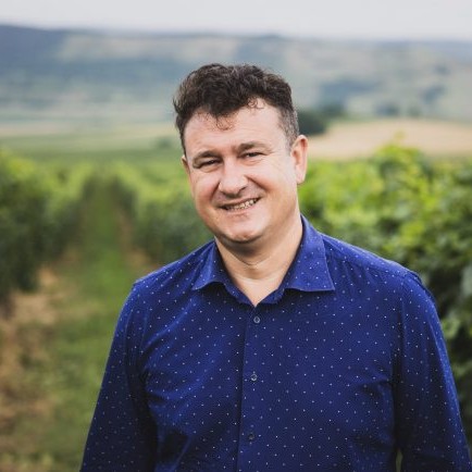 Mircea Matei